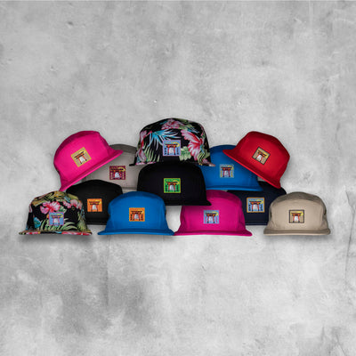 5 PANELs